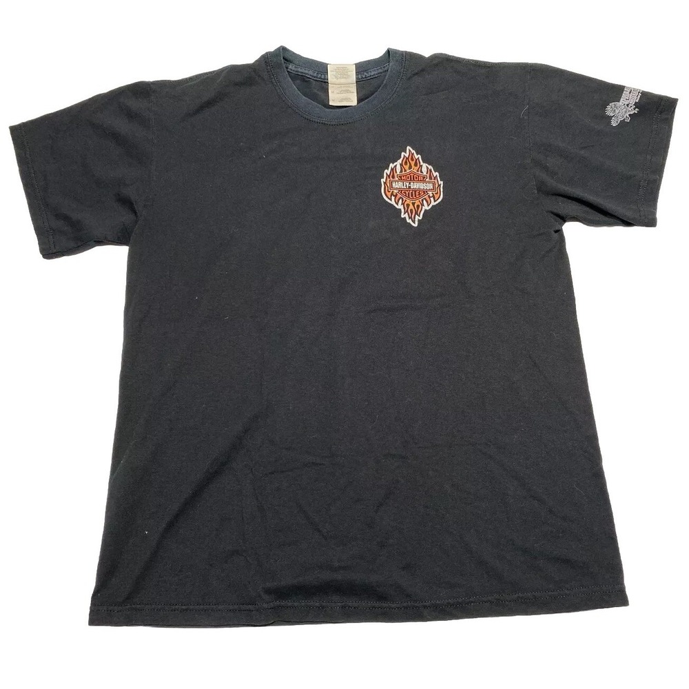 Harley Davidson Flaming‎ Logo T-Shirt Medium Ghost Rider Run  (Distressed Holes)